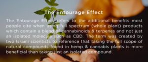 the entourage effect